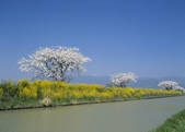 tkf003_554582