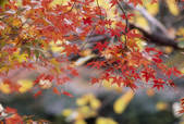 tkf003_554712