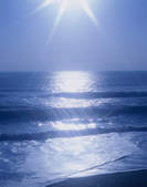 tkf003_555203