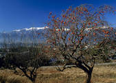 tkf003_556768
