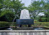 tkf003_557654
