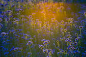 tkf003_560943