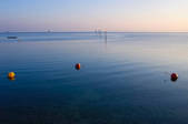 tkf003_560947
