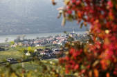 tkf003_562471