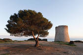 tkf003_564386