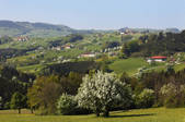 tkf003_564426