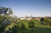 tkf003_575503