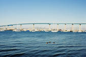 tkf003_628483