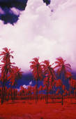 tkf003_648024