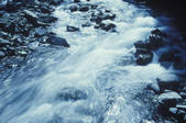 tkf003_648033