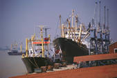tkf003_658556