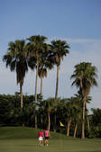 tkf003_661025