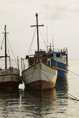 tkf003_662032