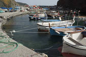 tkf003_674282