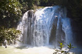 tkf003_675557