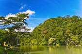 tkf003_675588