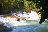tkf003_675820