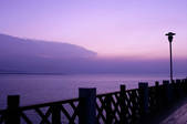 tkf003_679778