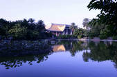 tkf003_679809