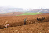 tkf003_684154