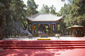 tkf003_686353