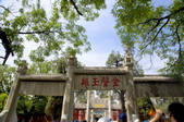 tkf003_686549