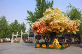 tkf003_686769