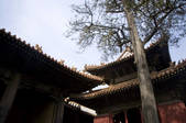 tkf003_687109