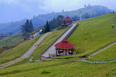 tkf003_687134