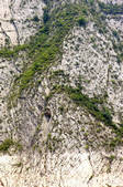 tkf003_688402