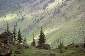 tkf003_712217