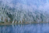 tkf003_712335
