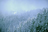 tkf003_712963