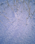 tkf003_717736