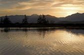 tkf003_718659