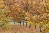 tkf003_726686