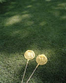 tkf003_806646