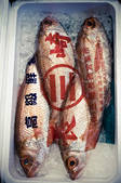 tkf003_817246