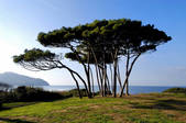 tkf003_960757