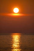 tkf003_961658