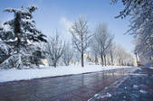 tkf003_963362