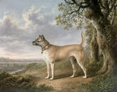 tkm001_189039
