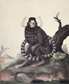 tkm001_189291