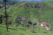 tkm001_485344