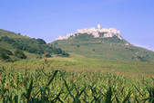 tkm001_492474