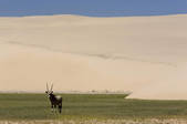 tkm001_502014