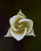 tkm001_519225