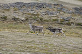 tkm001_538055