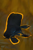 tkm001_538286
