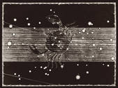 tkm001_538460